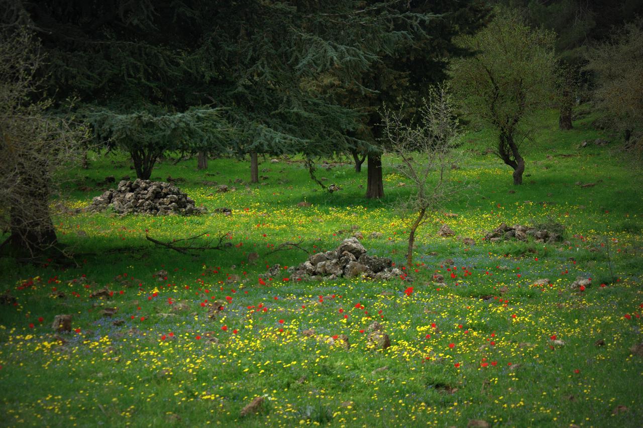 Gate Away B&B Units - המקום באל רום ภายนอก รูปภาพ